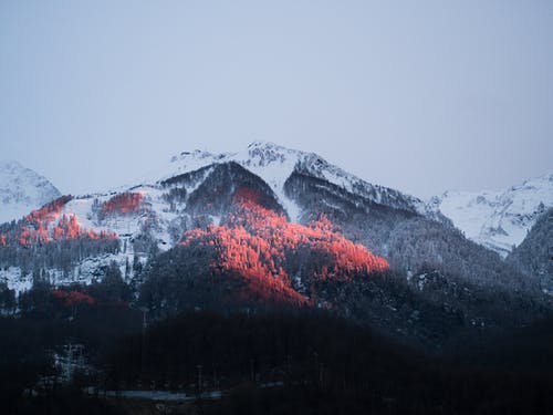 有关下雪的, 冬季, 垂直拍摄的免费素材图片