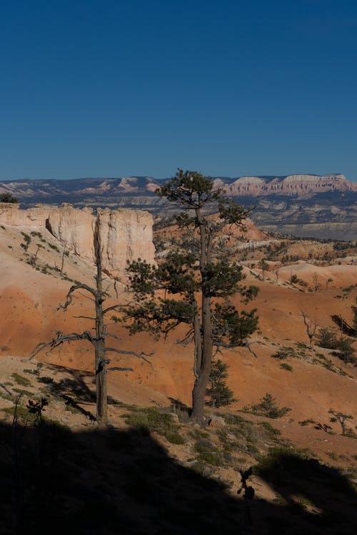 有关乾的, 地质学, 天性的免费素材图片