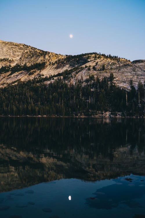 有关反射, 垂直拍摄, 天性的免费素材图片