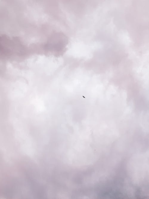 有关垂直拍摄, 坏心情, 多云的的免费素材图片