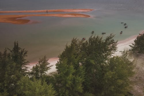 有关天性, 海, 海洋的免费素材图片
