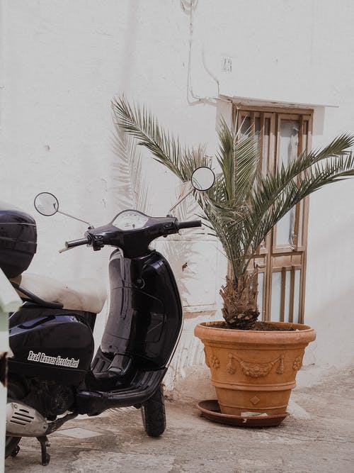 有关停, 垂直拍摄, 小型摩托车的免费素材图片