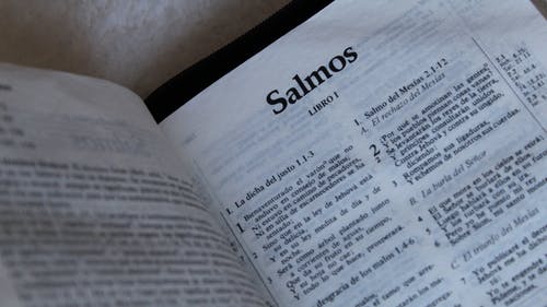 有关书, 书页, 本文的免费素材图片