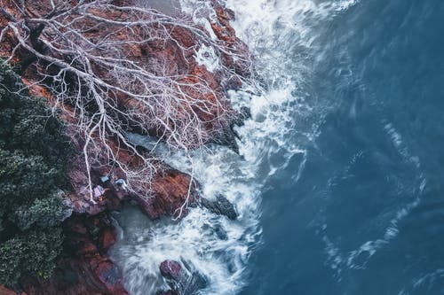 有关岩石形成, 无叶树, 水的免费素材图片