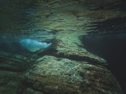 有关岩石, 水下, 水下摄影的免费素材图片