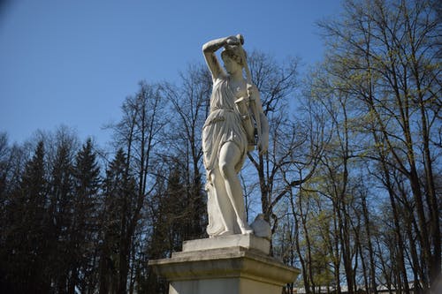 有关树木, 灰色混凝土, 纪念碑的免费素材图片