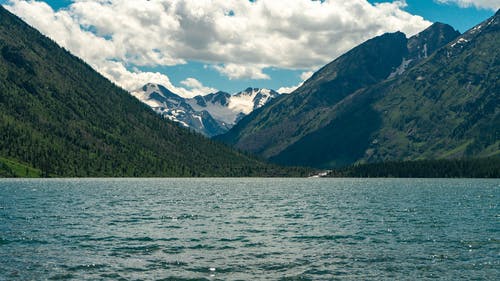 有关алтай, горы, лес的免费素材图片