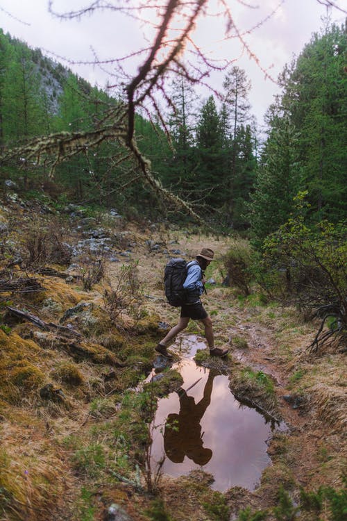 有关俄国, 健行, 冒险的免费素材图片