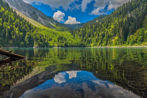 有关反射, 天性, 平静的免费素材图片