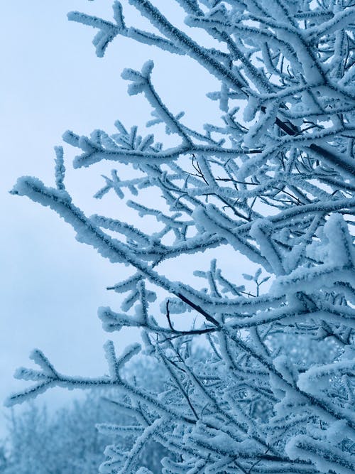 有关下雪的, 俄国, 冬季的免费素材图片