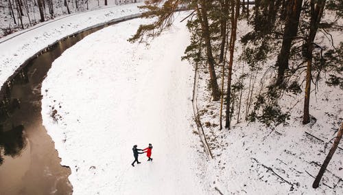 有关冬季, 冷, 冷冰的的免费素材图片