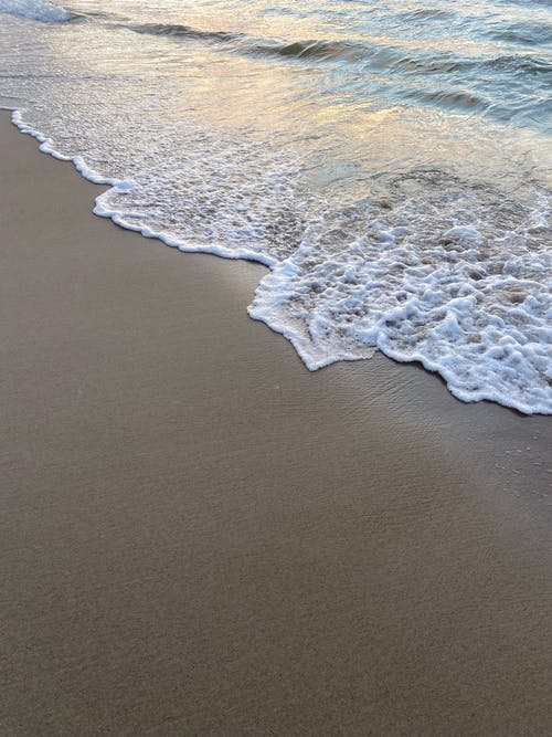 有关垂直拍摄, 岸边, 招手的免费素材图片