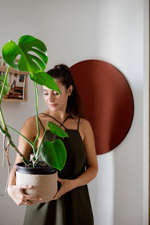 有关monstera deliciosa, 垂直拍摄, 女人的免费素材图片