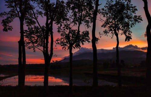 有关側面, 反射, 天性的免费素材图片