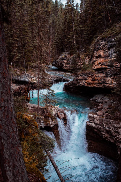 有关垂直拍摄, 岩石的, 树木的免费素材图片