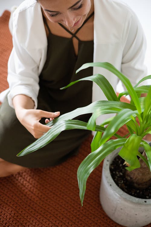有关坐下, 垂直拍摄, 女人的免费素材图片