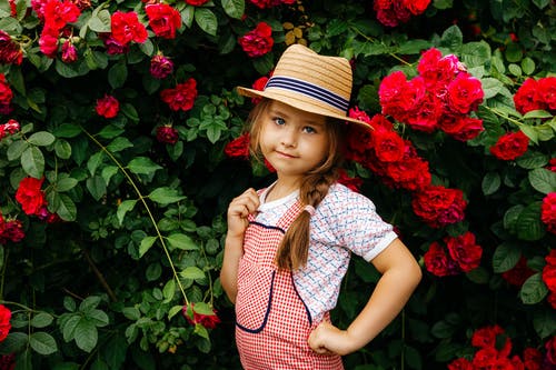 有关儿童, 套头衫, 女孩的免费素材图片