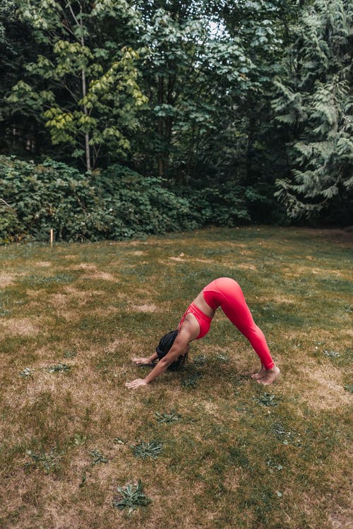 有关伸展, 健康生活, 健身的免费素材图片