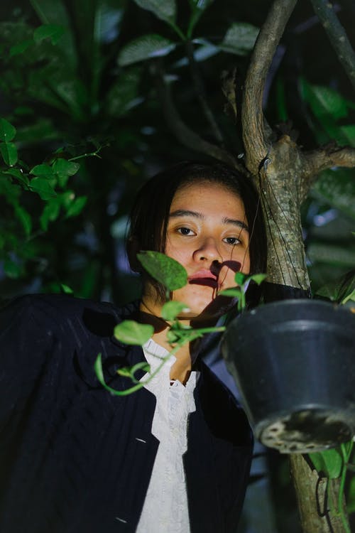 有关低角度拍摄, 垂直拍摄, 树的免费素材图片