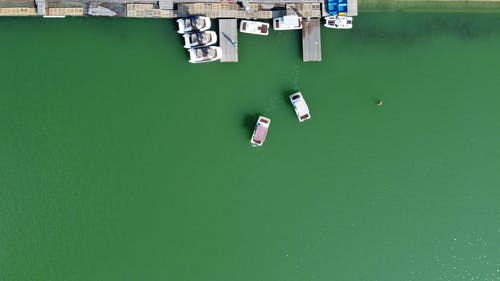 有关停泊处, 水上技能, 海上旅行的免费素材图片