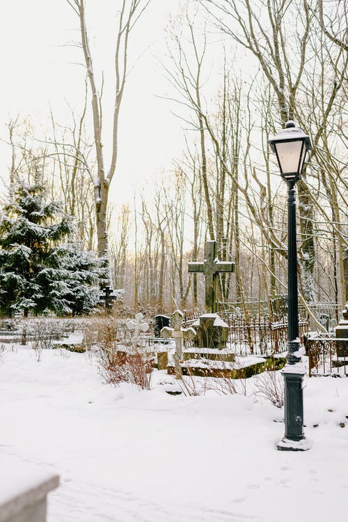 有关冬季, 冬季景观, 垂直拍摄的免费素材图片