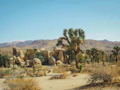 有关加州, 天性, 山脉的免费素材图片