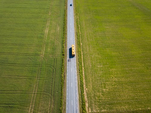 有关公車, 土地, 天性的免费素材图片
