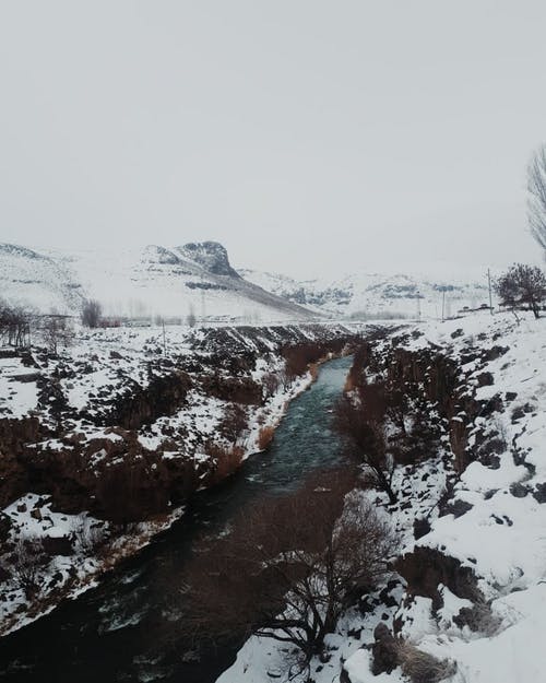 有关下雪的, 冬季, 垂直拍摄的免费素材图片