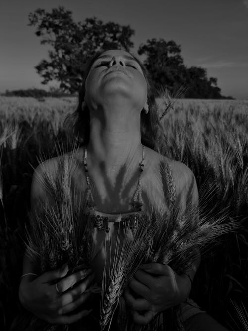 有关农地, 垂直拍摄, 女人的免费素材图片