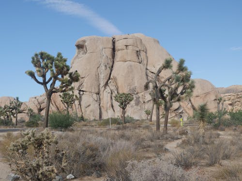 有关加州, 天性, 岩石的免费素材图片