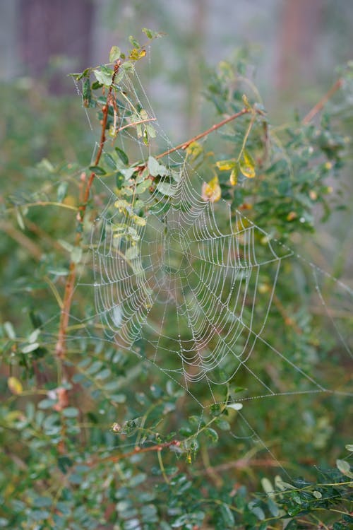 有关困住, 垂直拍摄, 工厂的免费素材图片