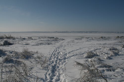 有关冬季, 大雪覆盖, 环境的免费素材图片