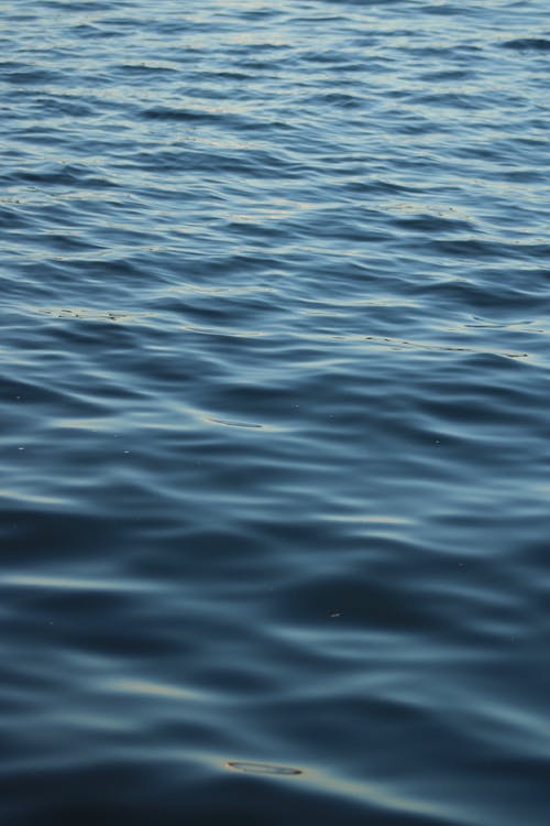 有关H2O, 垂直拍摄, 水波的免费素材图片