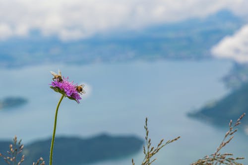 有关增长, 天性, 微妙的免费素材图片
