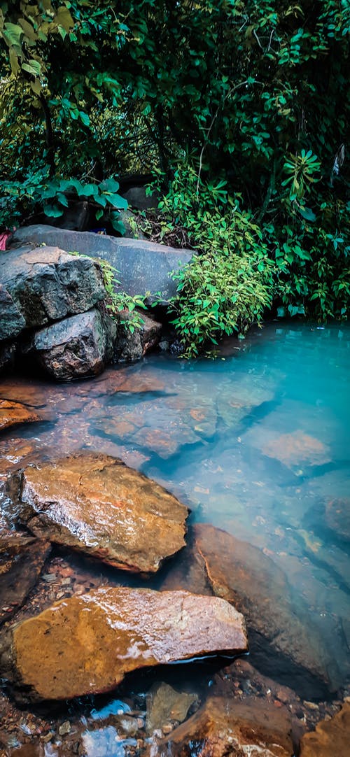 有关不变, 公园, 冷静的免费素材图片