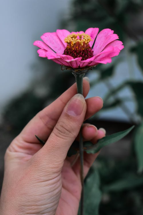 有关垂直拍摄, 手, 握住的免费素材图片