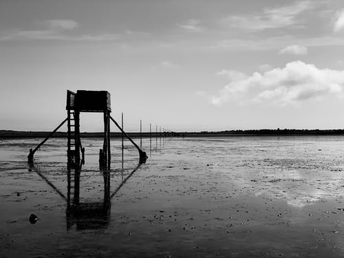 有关建设, 木梯, 水的免费素材图片