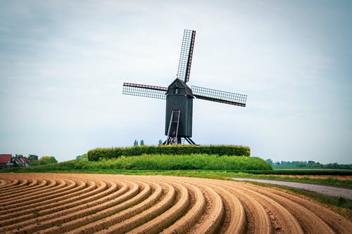 有关农业用地, 林场, 耕地的免费素材图片