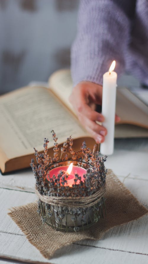 有关乾燥花, 垂直拍摄, 容器的免费素材图片