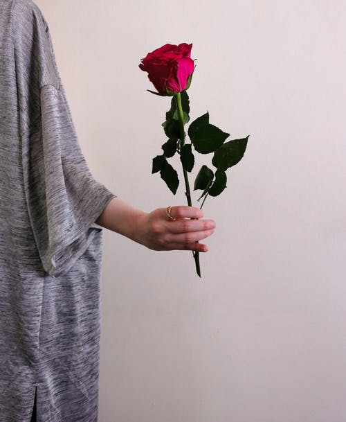 有关垂直拍摄, 微妙, 握住的免费素材图片