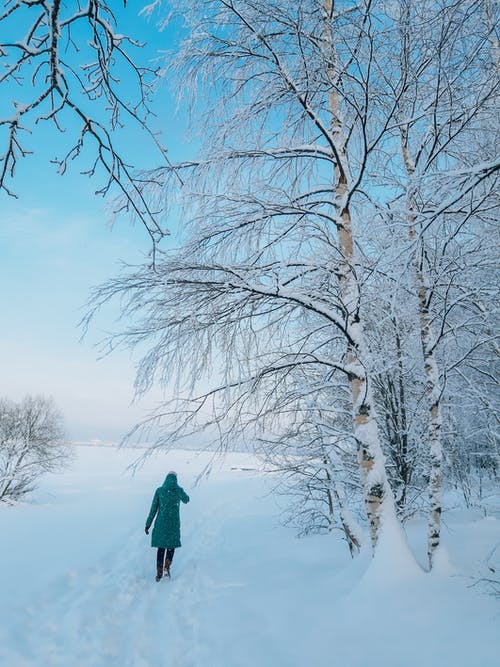 有关@户外, 人, 冬季景觀的免费素材图片