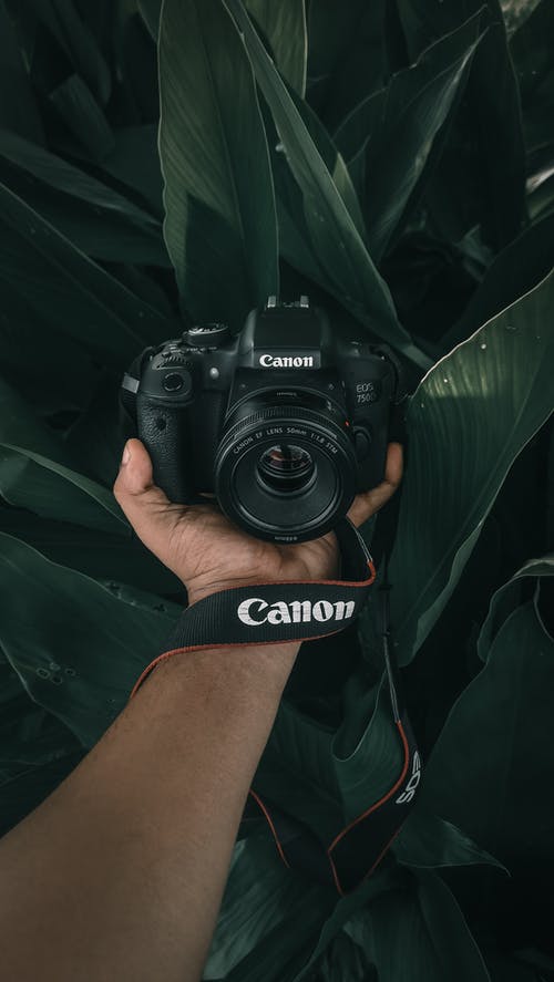 有关dslr背景, 佳能, 光圈的免费素材图片