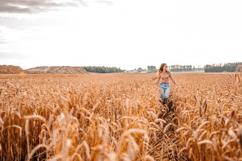 有关人, 女人, 小麦的免费素材图片