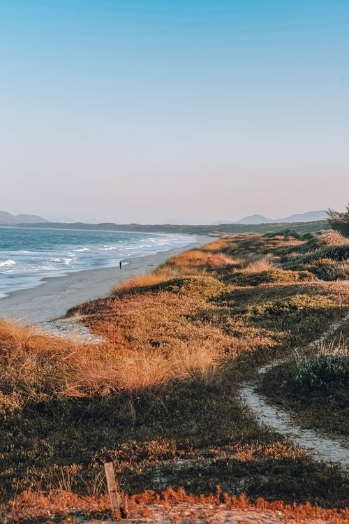 有关干草, 户外, 海的免费素材图片
