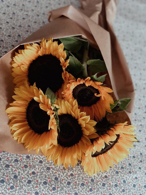 有关一串, 作文, 创作的的免费素材图片