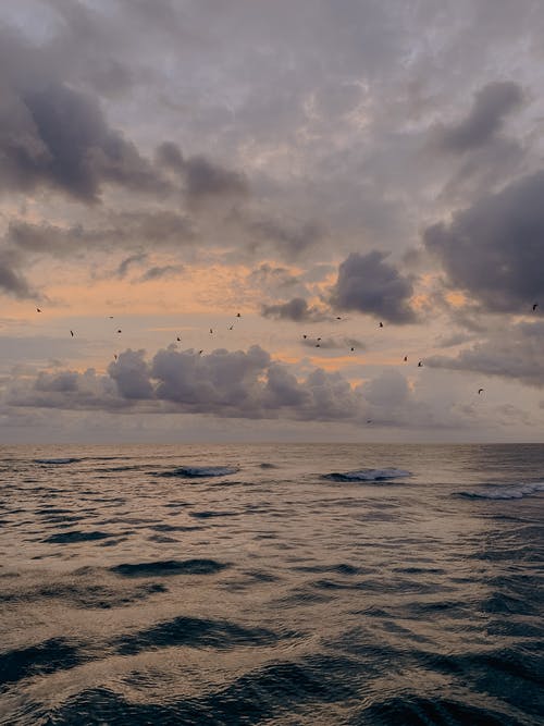 有关Copyspace, 冷静, 和平的免费素材图片