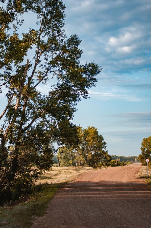 有关之间, 户外, 树木的免费素材图片