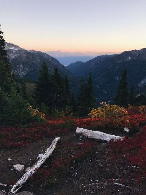 有关垂直拍摄, 天性, 山的免费素材图片
