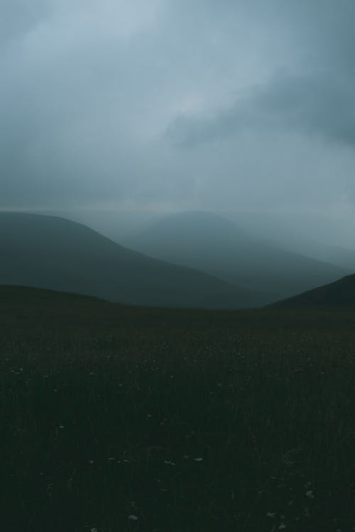 有关土地, 坏心情, 天性的免费素材图片