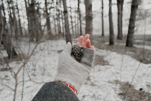 有关冬季, 手, 握住的免费素材图片